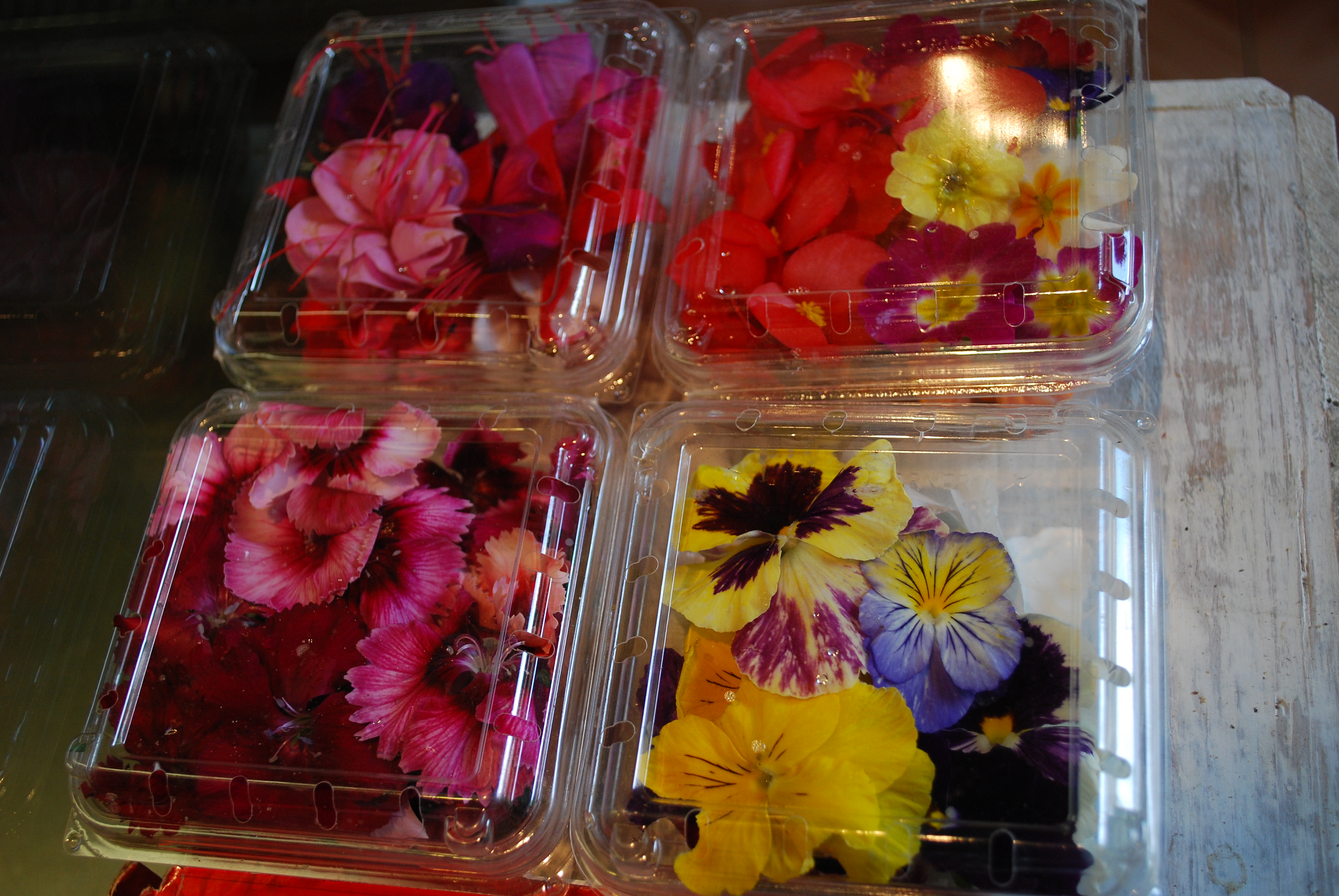 Flores comestibles orgánicas: cuáles y cómo escogerlas | Café Ruta de la  Seda, Coyoacán